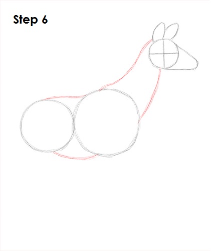 Draw Okapi 6