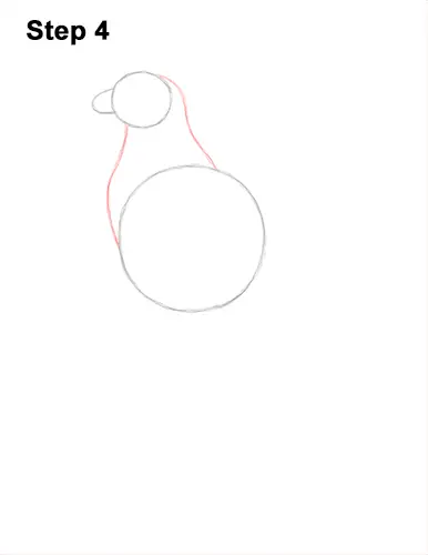 How to Draw Osprey Seahawk Bird Side 4