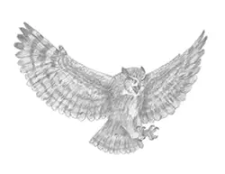 How to Draw a Great Horned Owl Flying Hunting Raptor Bird