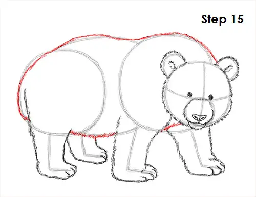 Panda Drawing 15 Draw Panda 15