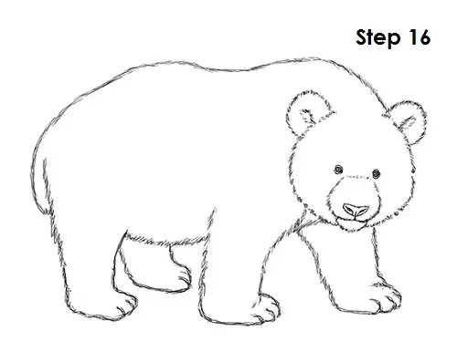 Panda Drawing 16 Draw Panda 16
