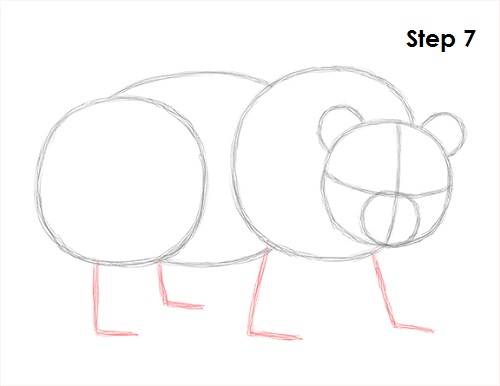 Panda Drawing 7 Draw Panda 7