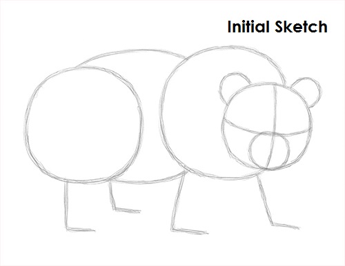 Panda Drawing Sketch Draw Panda Sketch