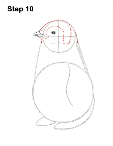 How to Draw a Penguin Chick VIDEO & Step-by-Step Pictures