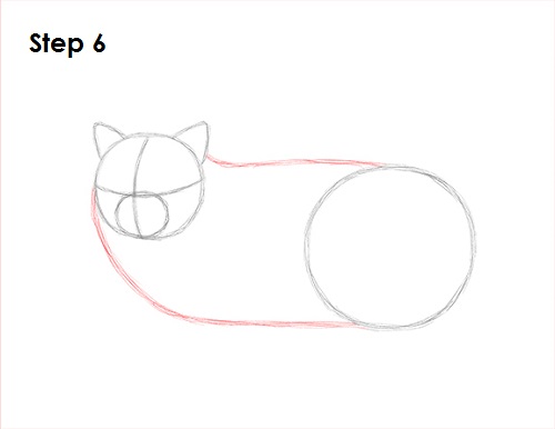 Persian Cat Drawing 6 Draw Persian Cat 6