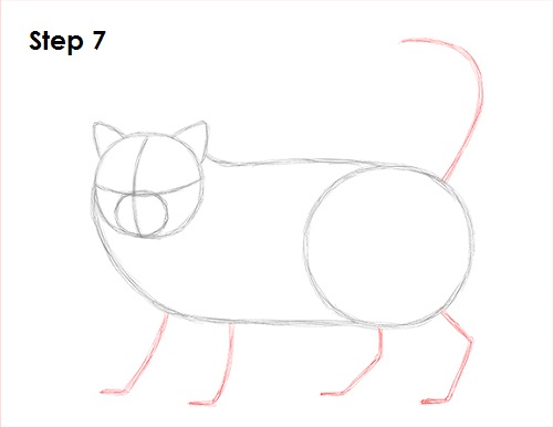 Persian Cat Drawing 7 Draw Persian Cat 7