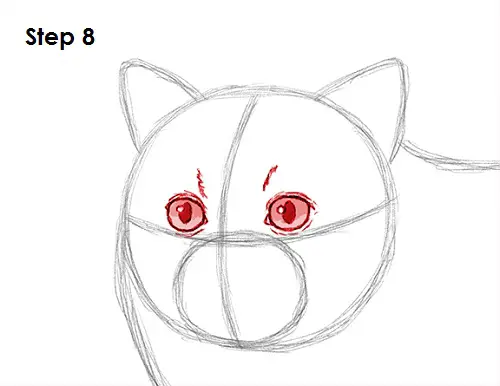 Persian Cat Drawing 8 Draw Persian Cat 8