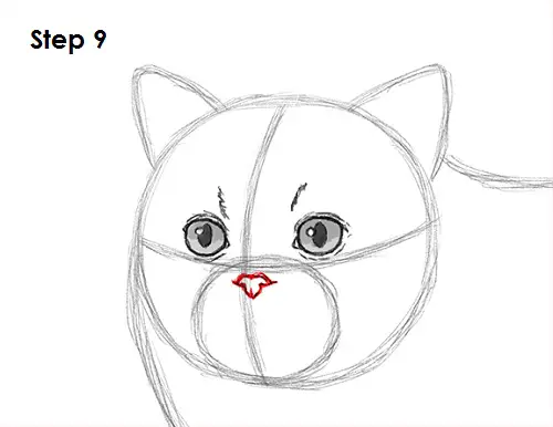 Persian Cat Drawing 9 Draw Persian Cat 9