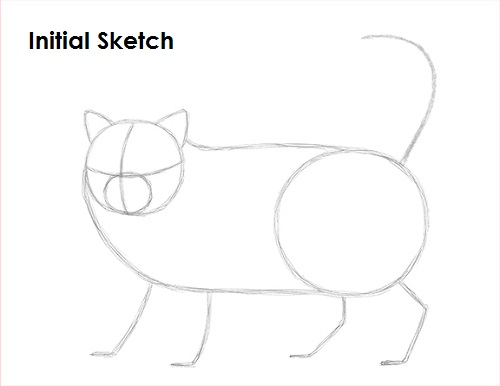 Persian Cat Drawing Sketch Draw Persian Cat Sketch