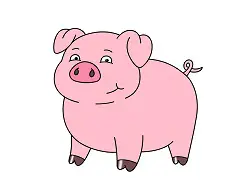 How to Draw a Cartoon Pig