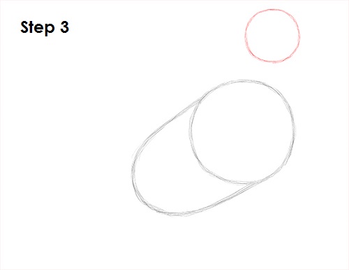 Pigeon Bird Drawing 3 Draw Pigeon Bird 3