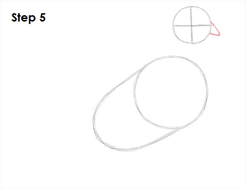 Pigeon Bird Drawing 5 Draw Pigeon Bird 5