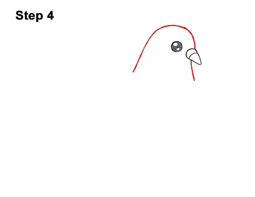 How to Draw Cute Cartoon Pigeon 4