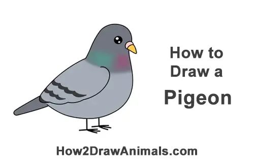 How to Draw Cute Cartoon Pigeon Bird Chibi Manga