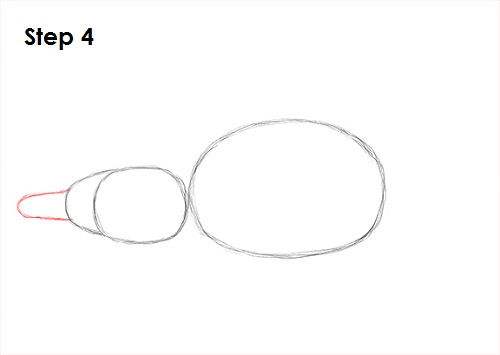 Platypus Drawing 4 Draw Platypus 4