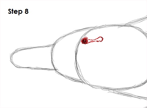 Platypus Drawing 8 Draw Platypus 8