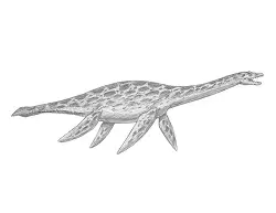 How to Draw a Plesiosaurus Ocean Sea Dinosaur