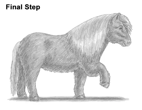 How To Draw A Pony