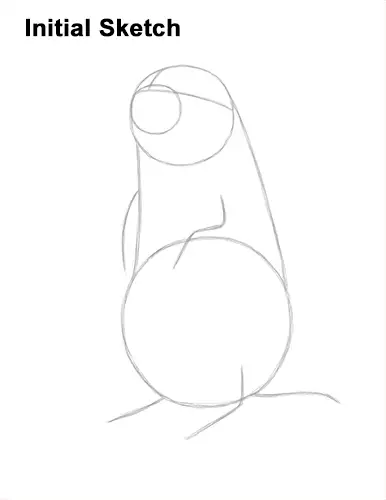 How to Draw a Black-Tailed Prairie Dog Standing Up Guides Lines