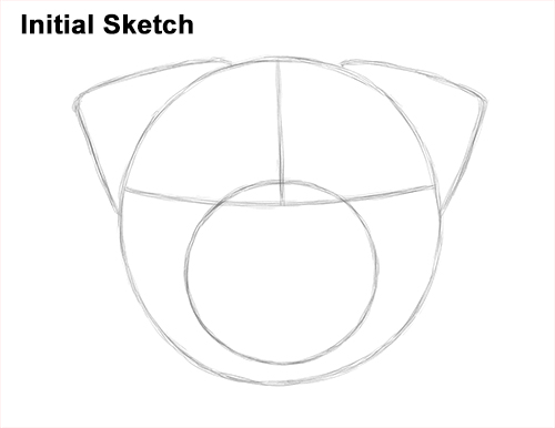 How to Draw Pug Puppy Dog Head Face Portrait Initial Sketch