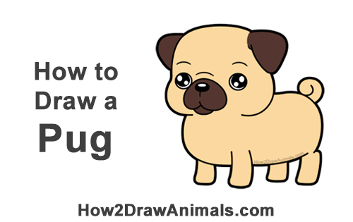 How to Draw Cute Cartoon Pug Puppy Dog Chibi Kawaii