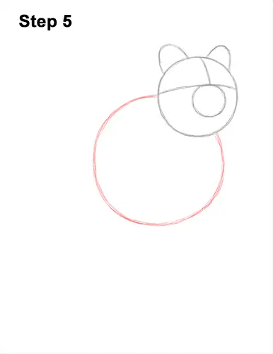 How to Draw a Smiling Quokka Short Tail Scrub Wallaby 5