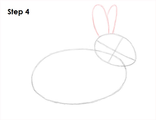 Draw Rabbit 4