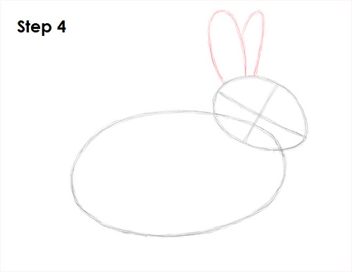 Rabbit Drawing 4 Draw Rabbit 4