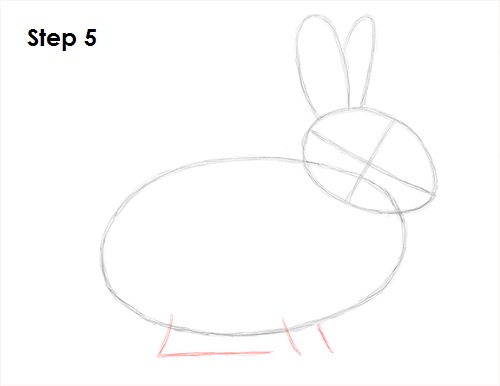Rabbit Drawing 5 Draw Rabbit 5