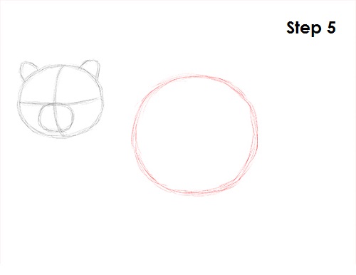 Raccoon Drawing 5 Draw Raccoon 5