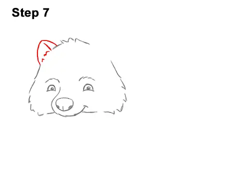 How to Draw a Raccoon (Cartoon)