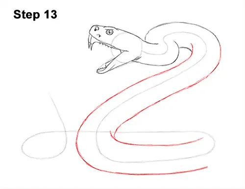 How to Draw a Rattlesnake