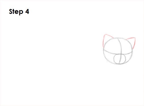Draw Red Panda 4