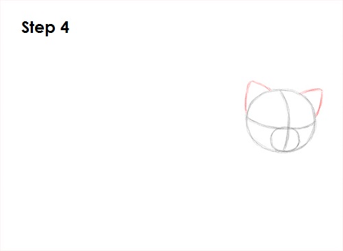 Red Panda Drawing 4 Draw Red Panda 4