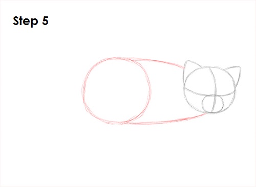 Red Panda Drawing 5 Draw Red Panda 5