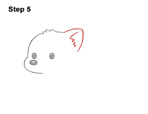 How to Draw a Cute Cartoon Red Panda Chibi Kawaii 5