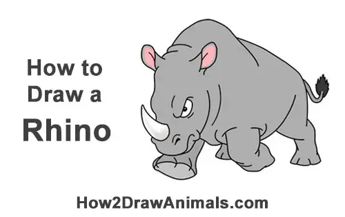 How to Draw a Rhinoceros (Cartoon)