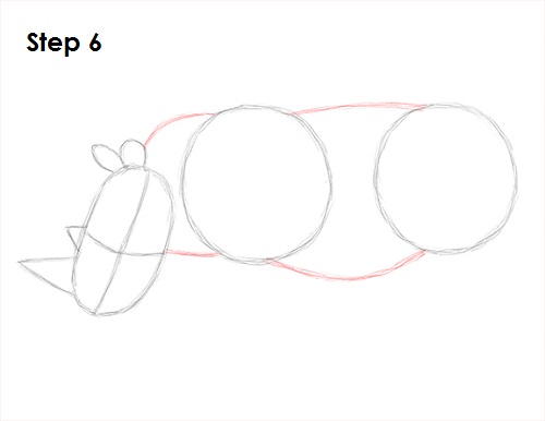 Rhinoceros Drawing 6 Draw Rhinoceros 6