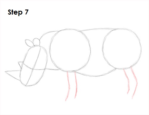 Rhinoceros Drawing 7 Draw Rhinoceros 7