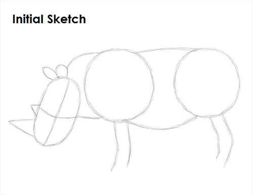 Rhinoceros Drawing Sketch Draw Rhinoceros Sketch