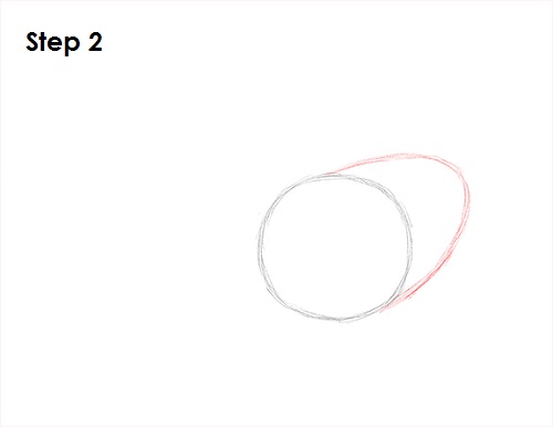 Rooster Drawing 2 Draw Rooster 2