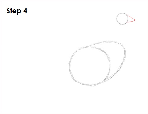 Rooster Drawing 4 Draw Rooster 4