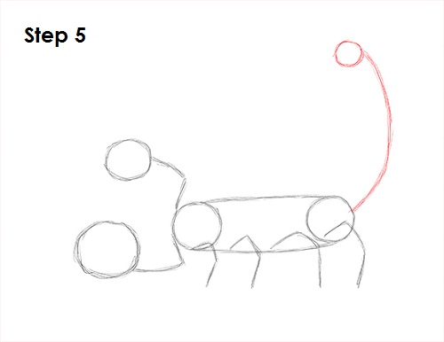 Scorpion Drawing 5 Draw Scorpion 5