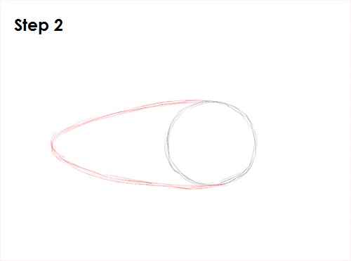 Sea Turtle Drawing 2 Draw Sea Turtle 2
