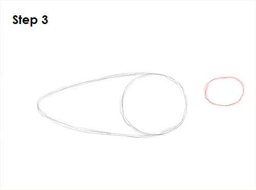 Sea Turtle Drawing 3 Draw Sea Turtle 3
