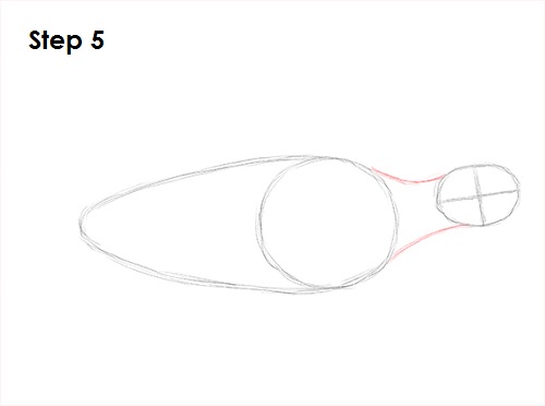 Sea Turtle Drawing 5 Draw Sea Turtle 5
