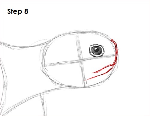 Sea Turtle Drawing 8 Draw Sea Turtle 8
