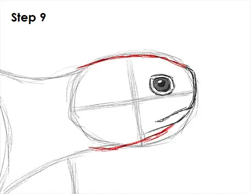 Sea Turtle Drawing 9 Draw Sea Turtle 9