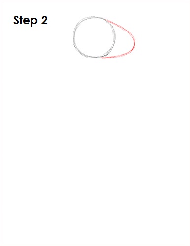 Seahorse Drawing 2 Draw a Seahorse 2