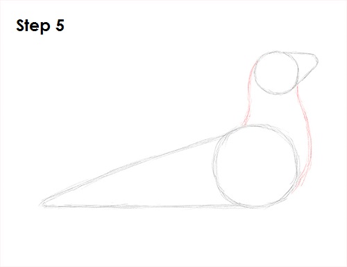 Seal Drawing 5 Draw Seal 5